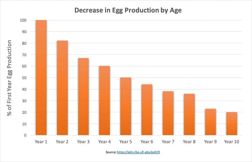 chicken egg production by year