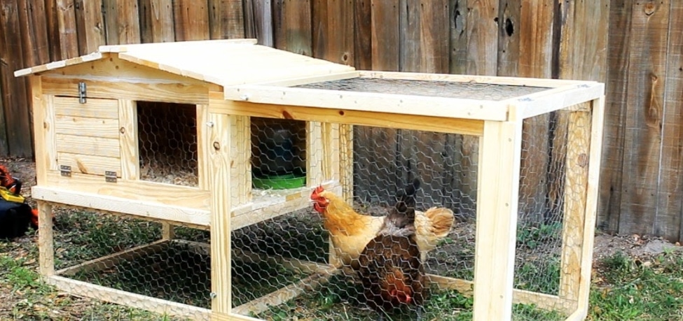 . A Small and Neat Chicken Coop Plan