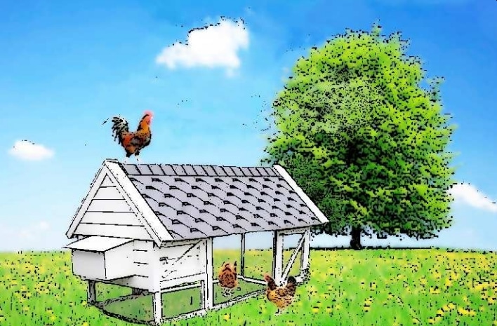 A Simple but Effective Chicken Coop Plan