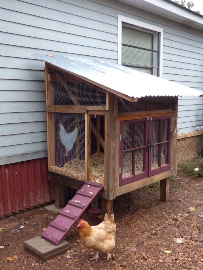 Add a Splash of Color to Your Chicken Coop