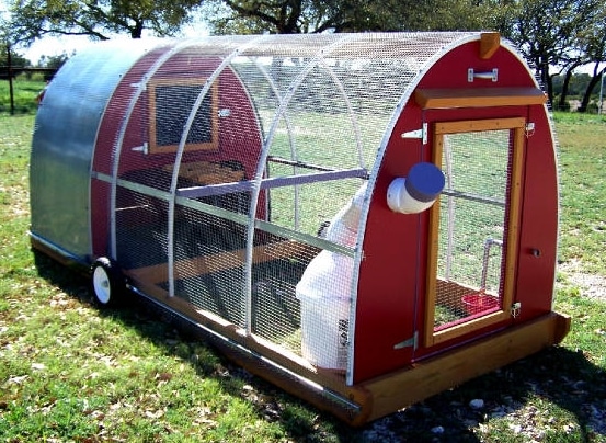 Ready to Ordered Chicken Coop