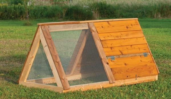 Easy to Build A-Frame Chicken Tractor