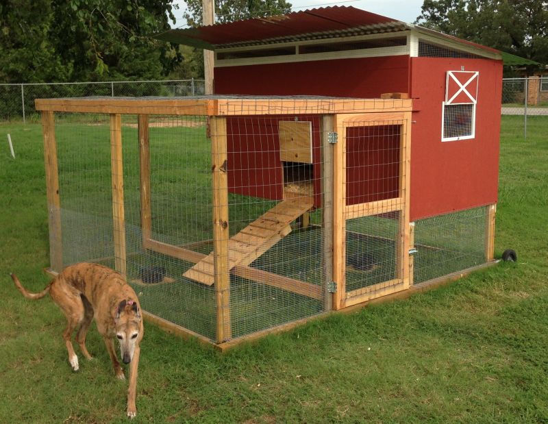 A Large Mobile Home for Your Chickens