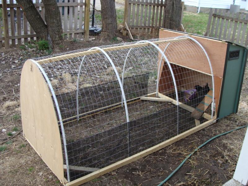 A Roomy Domed Chicken Tractor Plan