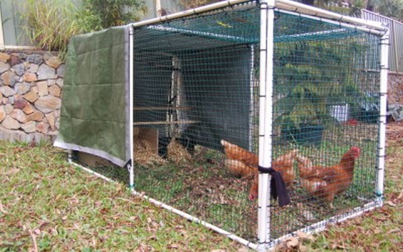 Easy PVC Chicken Tractor Project