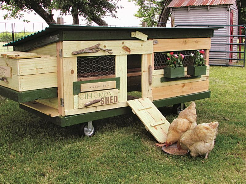 Free-Range Home for Your Chickens