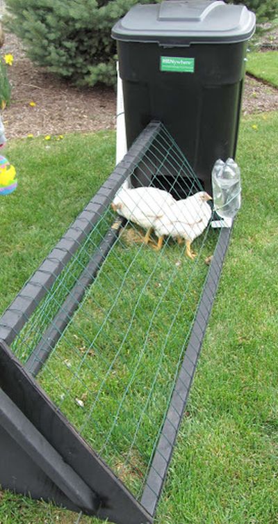 Out of the Box DIY Chicken Tractor Build