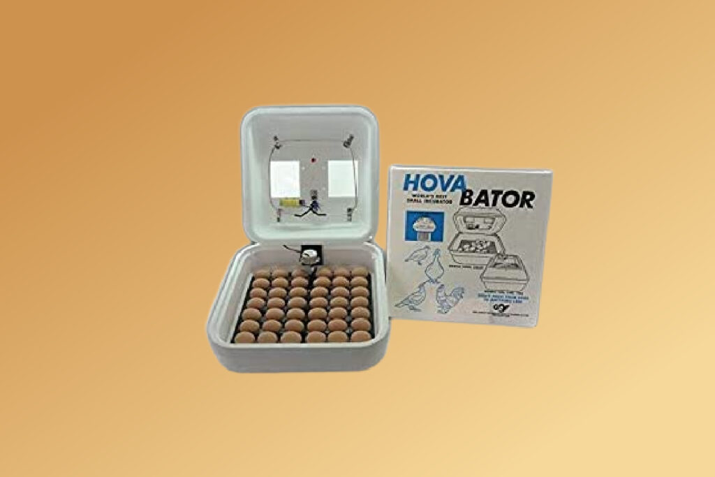 GQF Thermal Air Hova-Bator