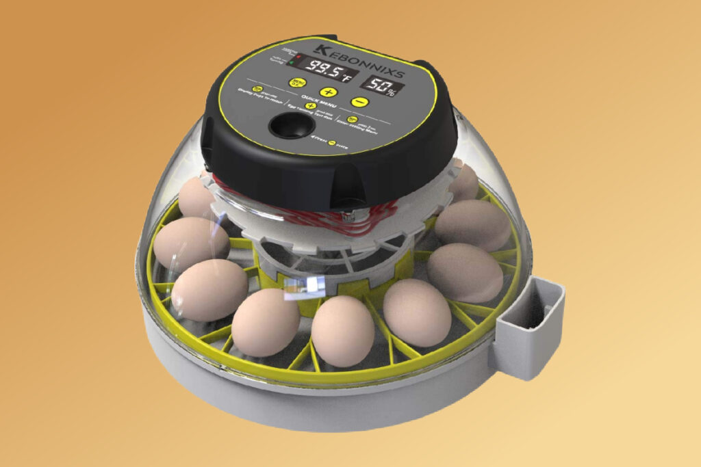 Kebonnixs 12 Egg Incubator